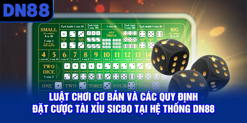 Luật chơi cơ bản và các quy định đặt cược Tài Xỉu Sicbo tại hệ thống DN88